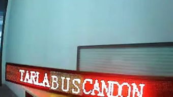 飞龙电子 点亮商业空间的艺术——为灯箱厂量身打造的电子霓虹灯案例赏析